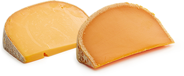 Comparison of Umami in Two Cheeses