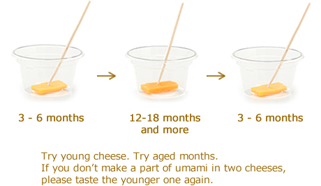 Comparison of Umami in Two Cheese