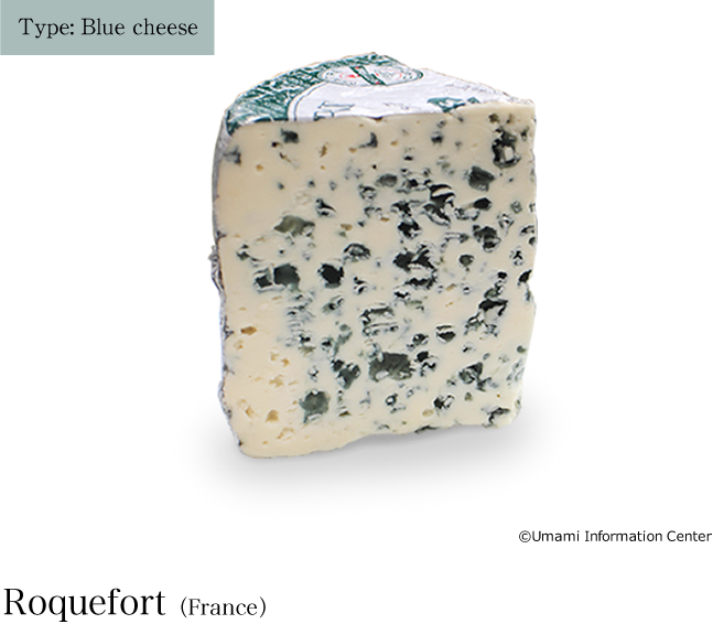 Typ: Blauschimmelkäse / Roquefort (Frankreich)