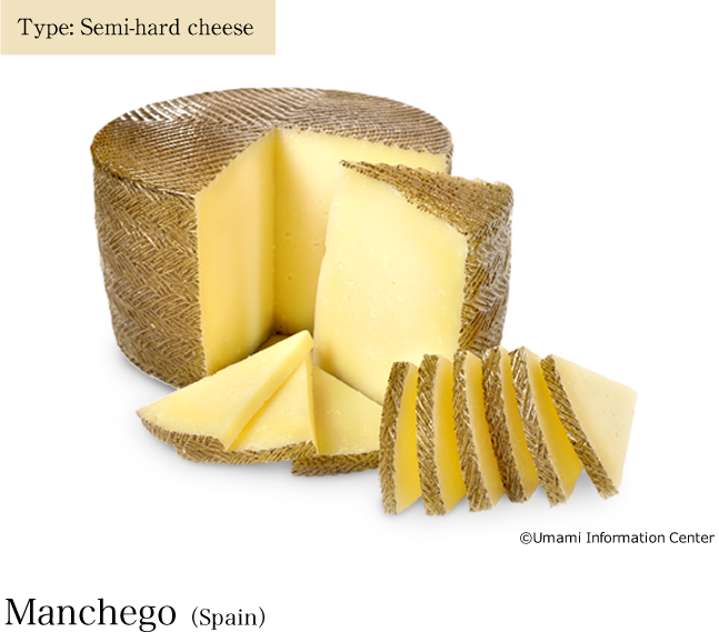 Typ: Schnittkäse / Manchego (Spanien)