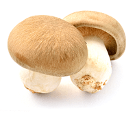 Shimeji mushrooms