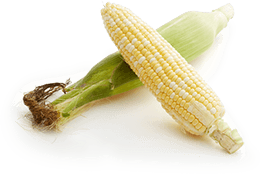 Corn