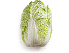 Chinese Cabbage