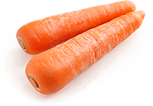 Carrot