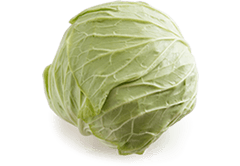 Cabbage