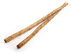 Burdock root