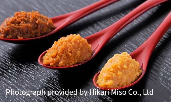 Miso  Centro informazioni Umami