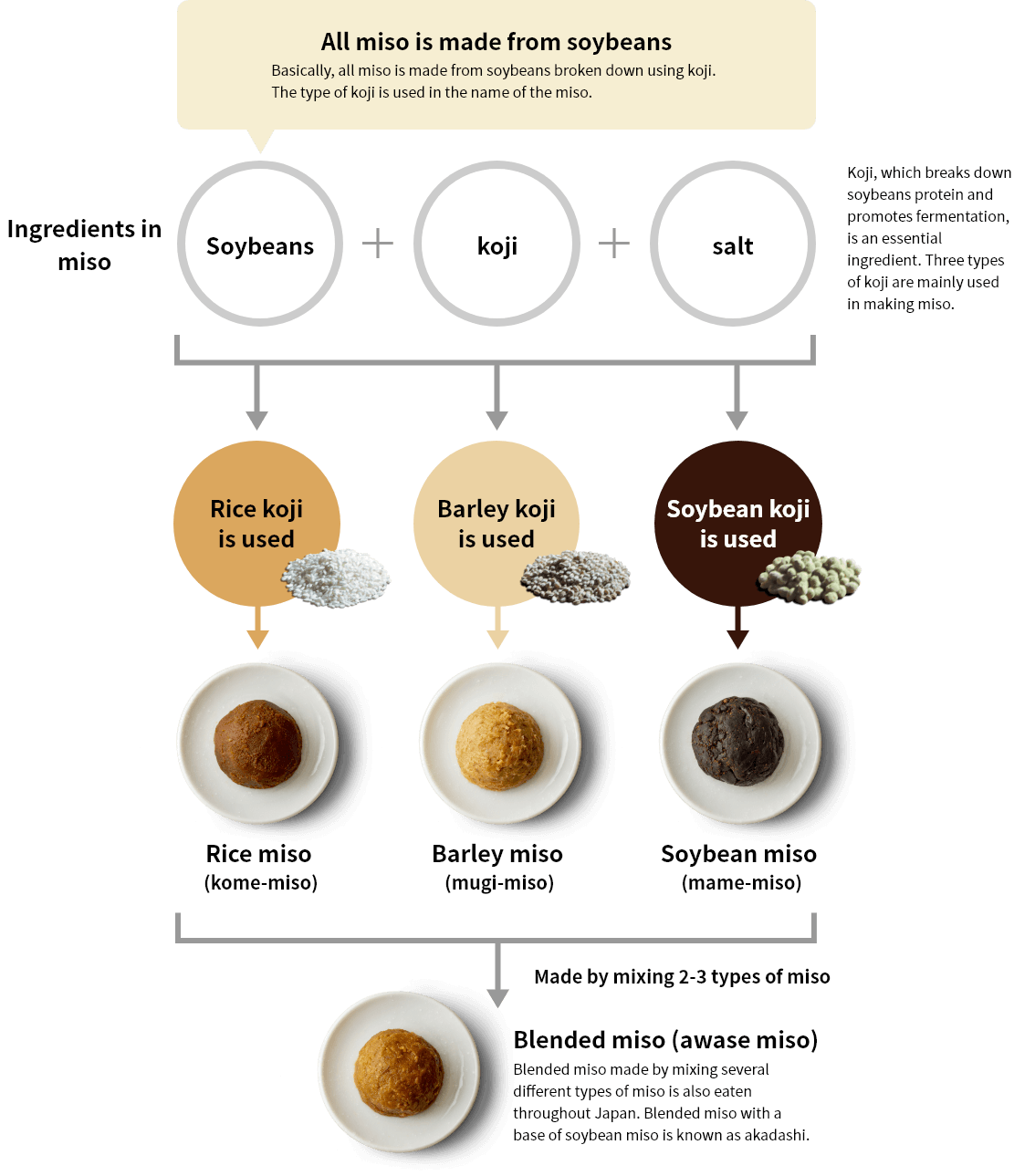 How to Make Miso Paste?