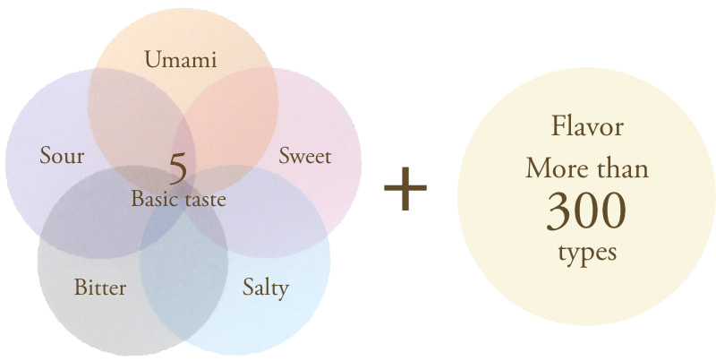 味の５大要素+香りの成分300種類