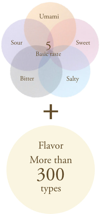 味の５大要素+香りの成分300種類