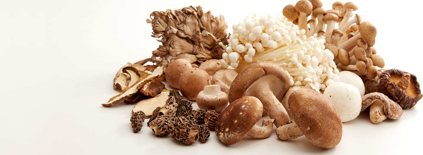 Informazioni Umami di Funghi Alimentari