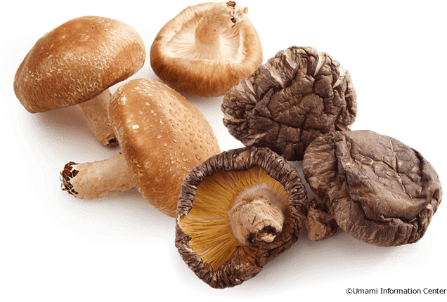 Shiitake: The Very Common Mushroom in Japanese Cuisine – Japanese Taste
