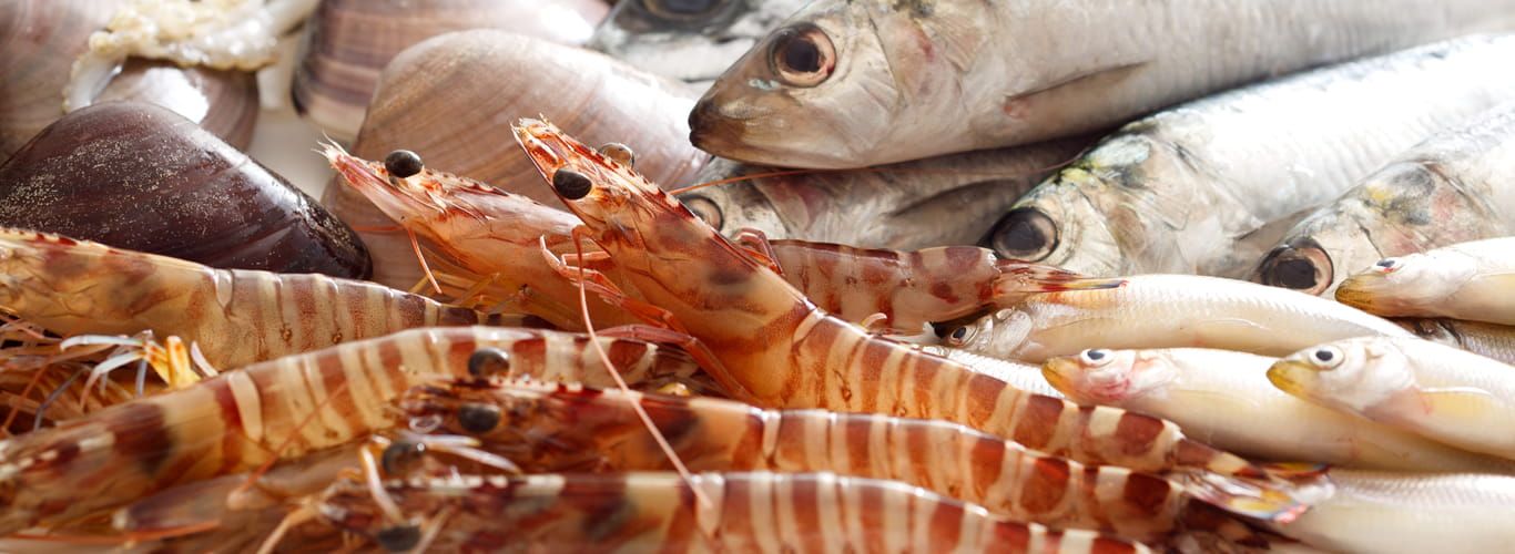 Informazioni Umami di Food Seafood