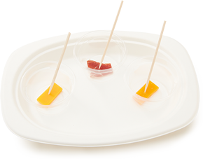 Tasting plate of cherry tomato and cheese