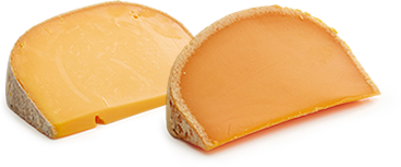 Comparaison de l'Umami dans deux fromages