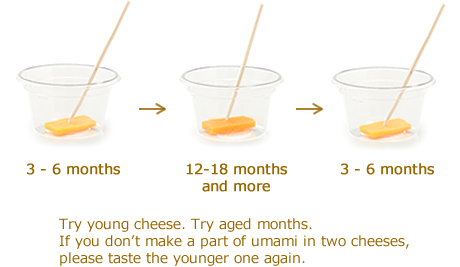 Comparação de Umami em Dois Queijos