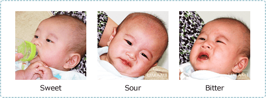 Infant taste responses