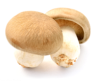 cogumelos shimeji