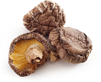 Cogumelos shiitake secos